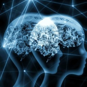 We Audit and Clean Your AI Systems